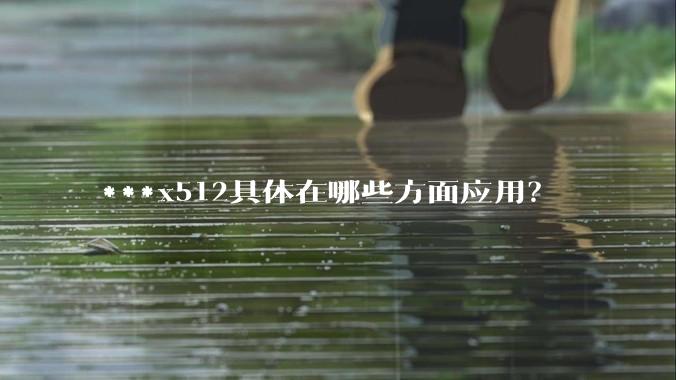 ***x512具体在哪些方面应用？