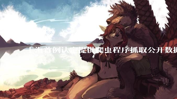 上海首例认定提供爬虫程序抓取公开数据构成提供侵入计算机信息系统程序罪案，该案件有哪些细节值得关注？