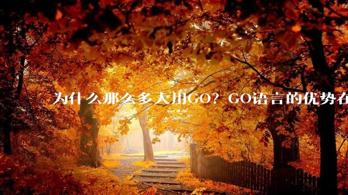 为什么那么多人用GO？GO语言的优势在哪里？