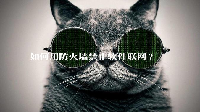 如何用防火墙禁止软件联网?