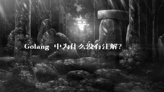 Golang 中为什么没有注解？