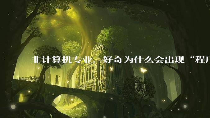 非计算机专业，好奇为什么会出现“程序依赖bug运行”的情况？