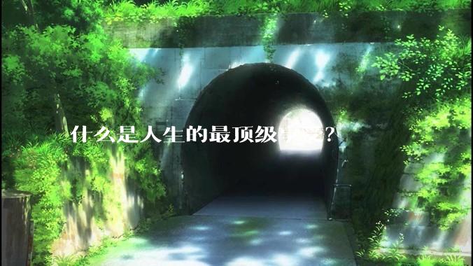 什么是人生的最顶级享受？