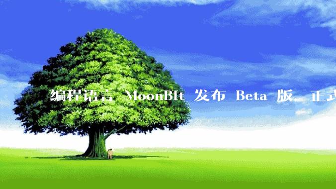 编程语言 MoonBit 发布 Beta 版，正式进入企业场景应用，会带来哪些影响？