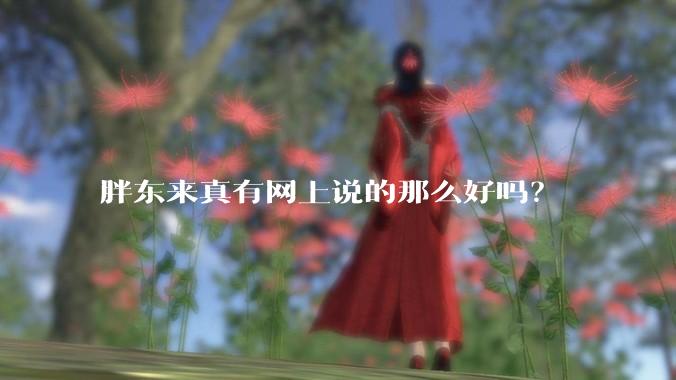 胖东来真有网上说的那么好吗？