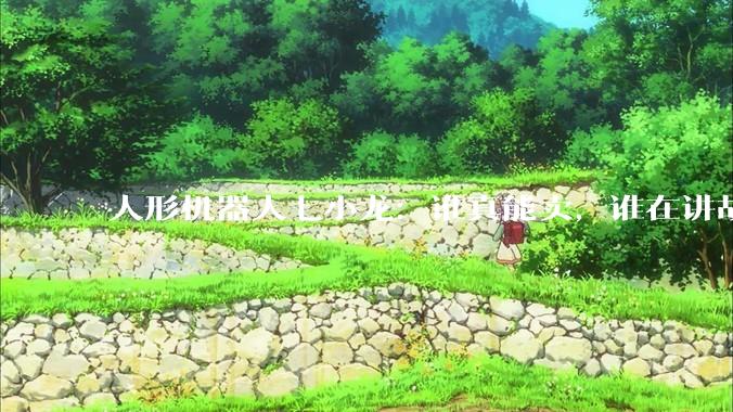 人形机器人七小龙：谁真能卖，谁在讲故事？_融资_宇树_松延