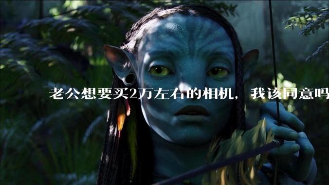 老公想要买2万左右的相机，我该同意吗？