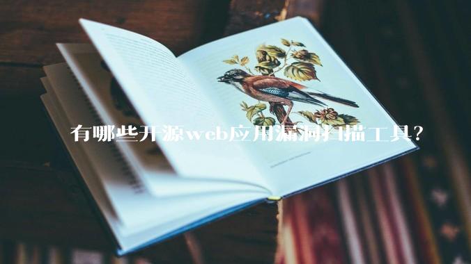 有哪些开源web应用漏洞扫描工具？