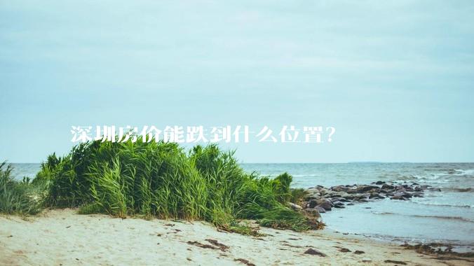 深圳房价能跌到什么位置？