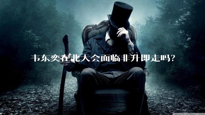 韦东奕在北大会面临非升即走吗？