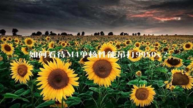 如何看待M4单核性能吊打9950x?