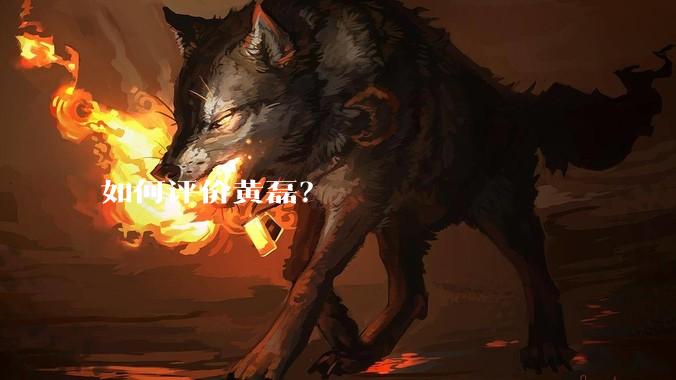如何评价黄磊？