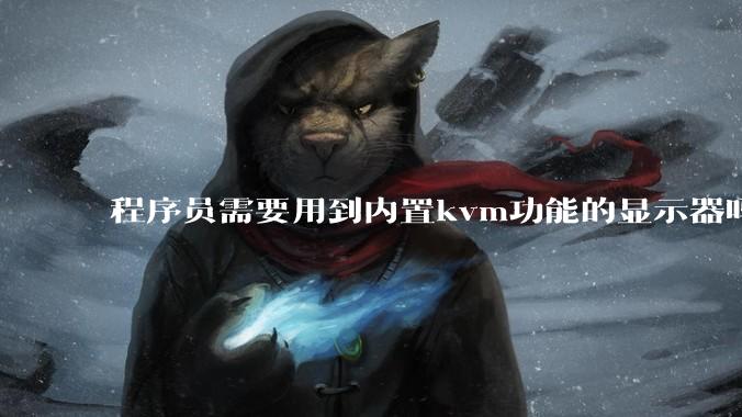程序员需要用到内置kvm功能的显示器吗？或者是外置的kvm切换器吗？