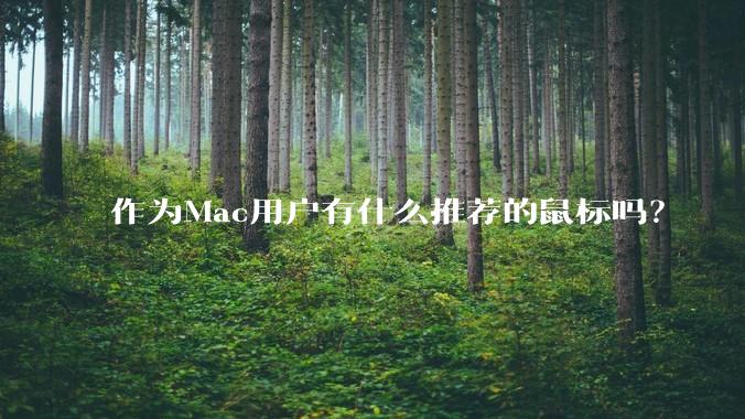 作为Mac用户有什么推荐的鼠标吗？