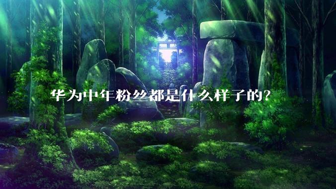 华为中年粉丝都是什么样子的？