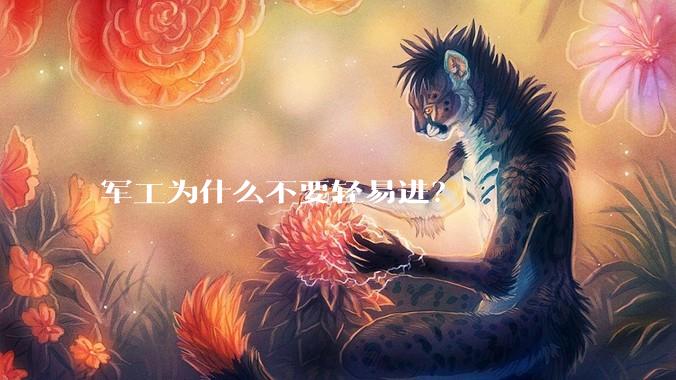 军工为什么不要轻易进？