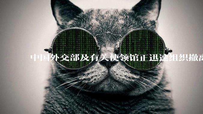 中国外交部及有关使领馆正迅速组织撤离在以、伊的中国公民，目前当地情况如何？
