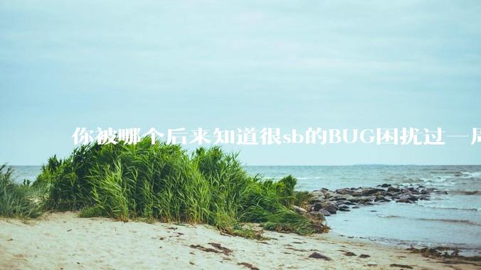 你被哪个后来知道很sb的BUG困扰过一周以上吗？